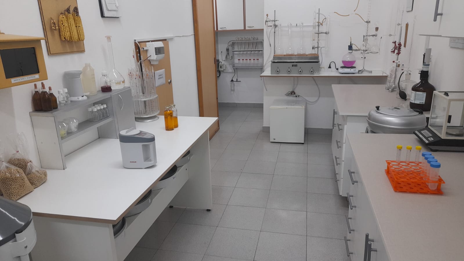 Erlenmeyers con cultivos microbiológicos